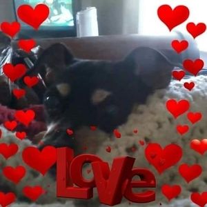 Meet your Posher, Allyson